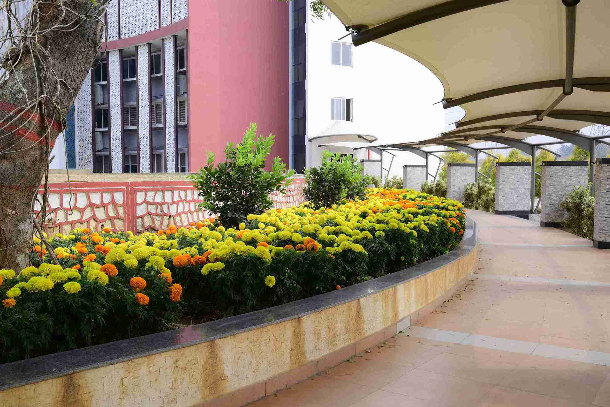 sbu campus