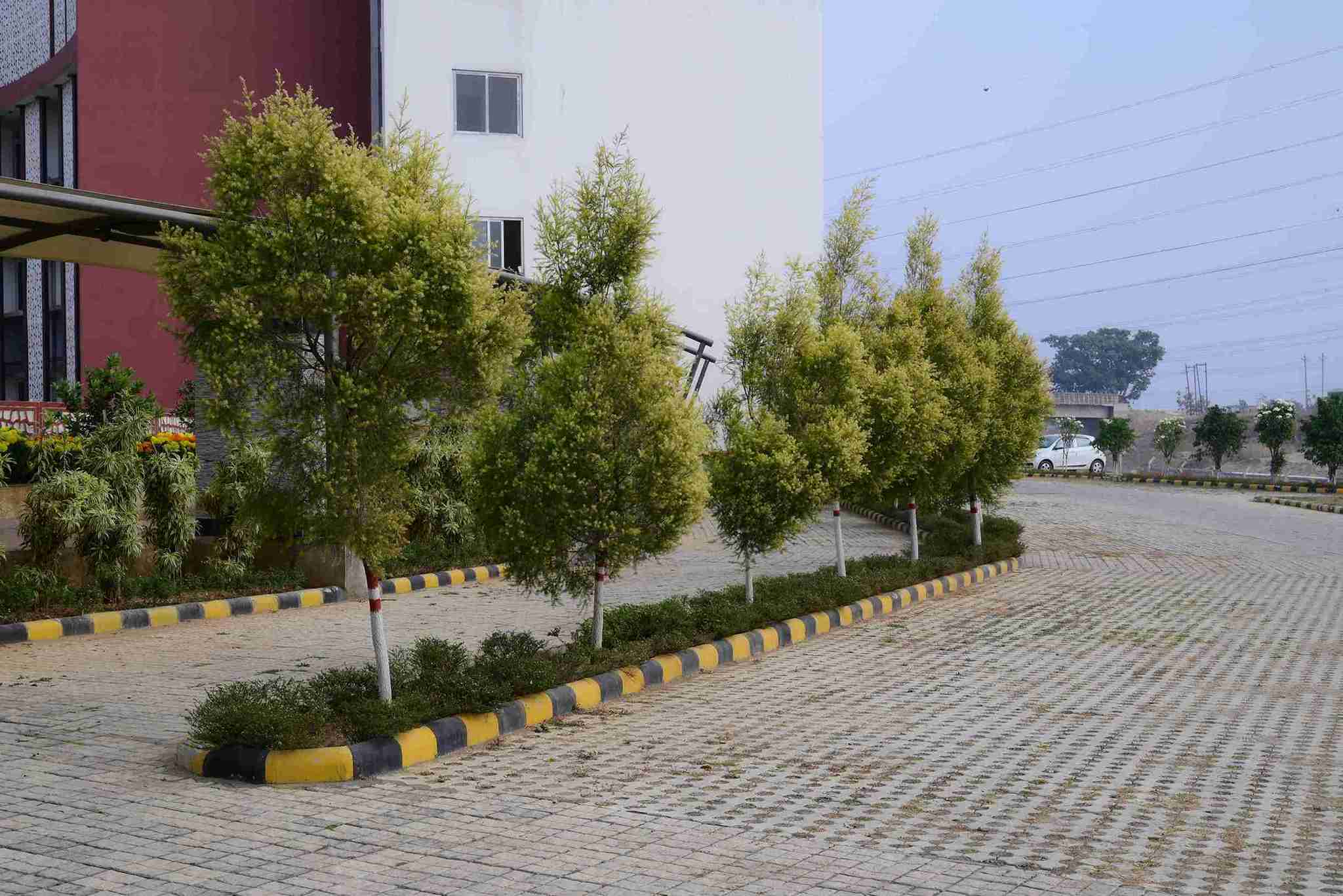 sbu campus